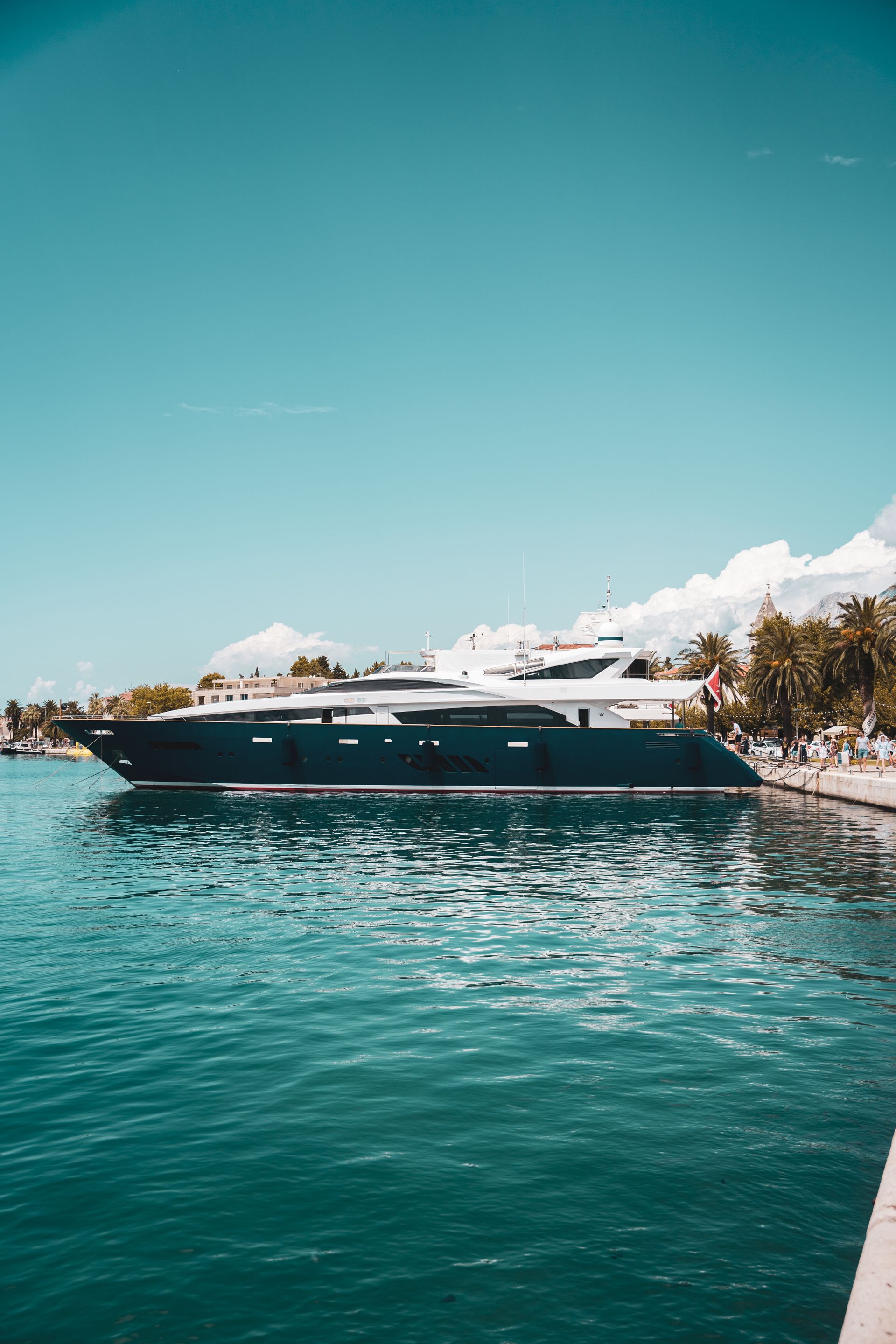 A superyacht moored beside a palm-lined coast
